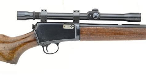 arma winchester calibre 22